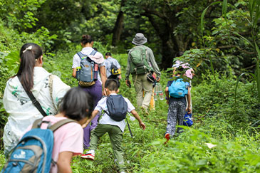 Nature Museum Summer Camp | Take children to explore the depth and vitality of nature