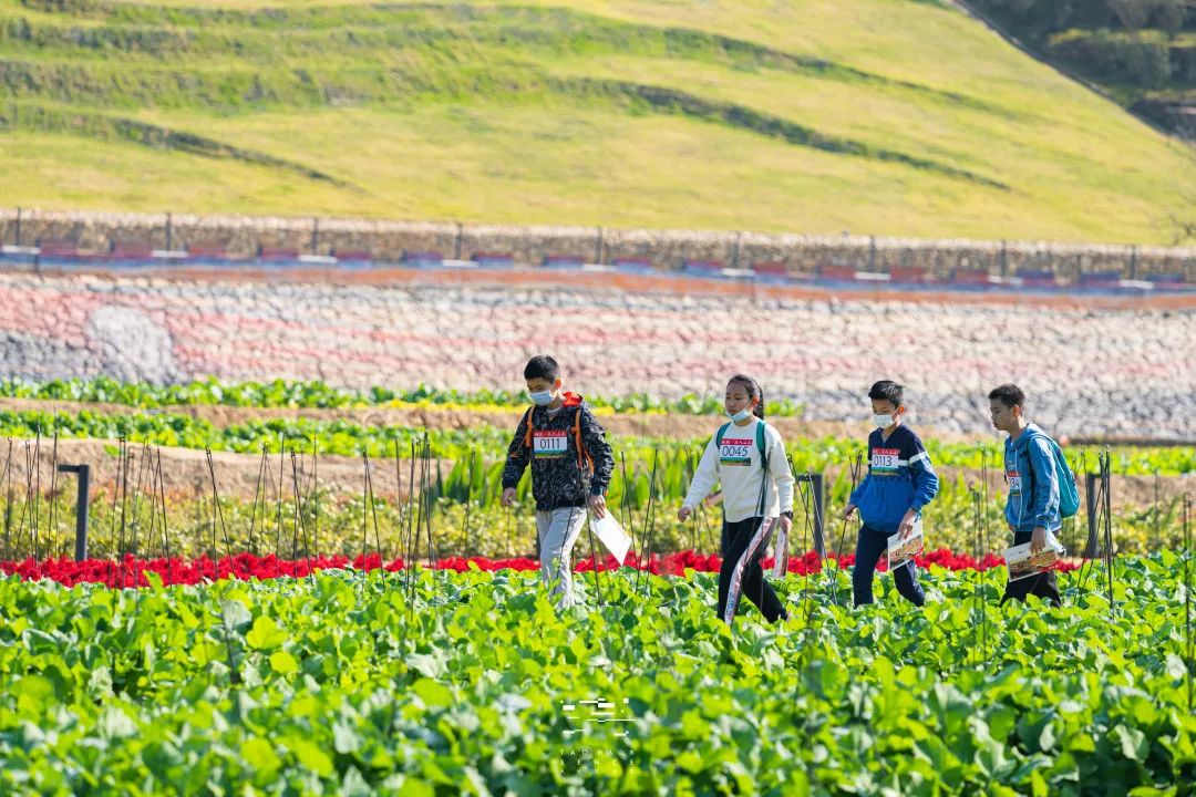 Taosence customized graduation study tour to take you to the midsummer graduation ceremony of nature