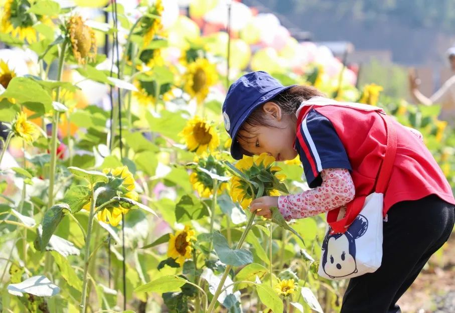 Natural exploration and parent-child education | Taosence launched a new tourism project 